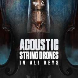 Acoustic String Drones (Assembly Line Compatible) - In All Keys