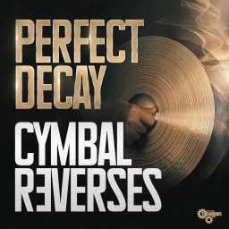 Perfect Decay Cymbal Reverses