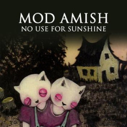 Mod Amish