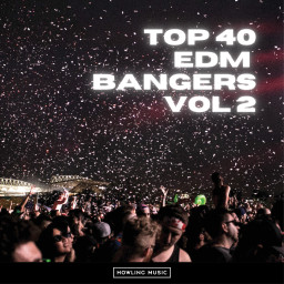 Top 40 EDM Bangers Vol. 2