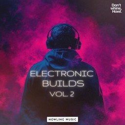 Electronic Builds Vol. 2
