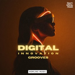 Digital Innovation Grooves
