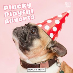 Plucky Playful Adverts