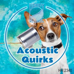 Acoustic Quirks