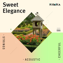 Sweet Elegance: Acoustic Strings Cheerful