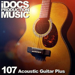 Acoustic Guitar Plus