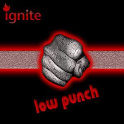 Low Punch - Bass And Drum Grooves