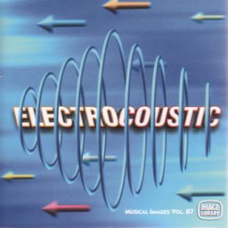 Electrocoustic