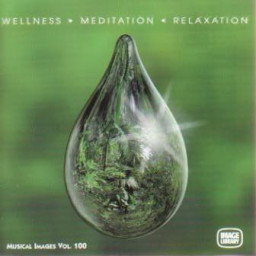 Wellness Meditation Relaxation