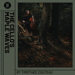 ARTIST SERIES - The Cello's Maple Waves by Timothée Couteau