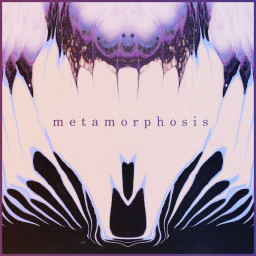 METAMORPHOSIS : Evolving Ambient Rock