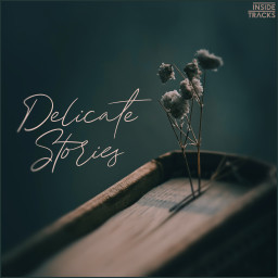 Delicate Stories