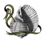 Organic Beds & Drones