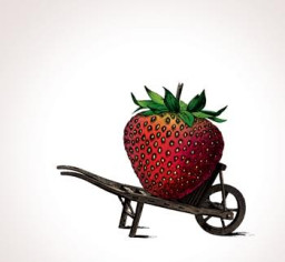 Growing Gardens Metadata