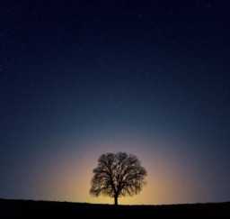 Orchestral Landscapes