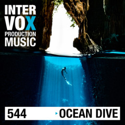 Ocean Dive