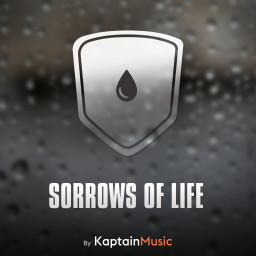Sorrows of Life