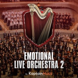 Emotional Live Orchestra 2