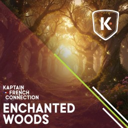 Enchanted Woods