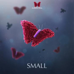 Small