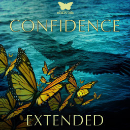 Confidence Extended