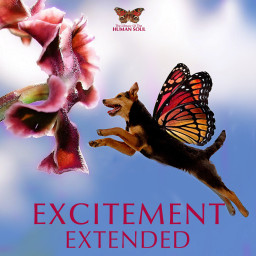 Excitement Extended