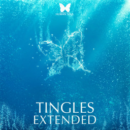 Tingles Extended