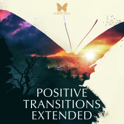Positive Transitions Extended