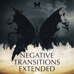 Negative Transitions Extended
