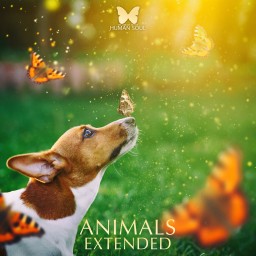 Animals Extended