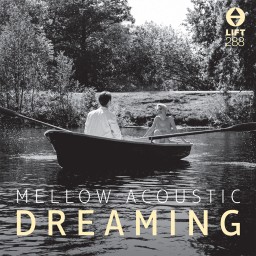 Mellow Acoustic Dreaming