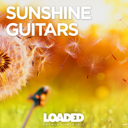Sunshine Guitars