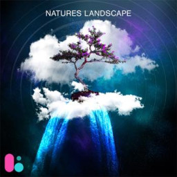 Nature's Landscape