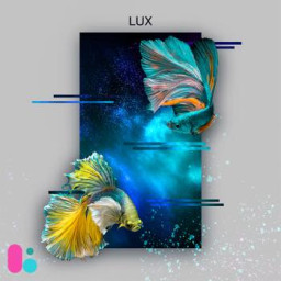 LUX