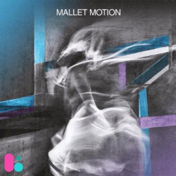 Mallet Motion