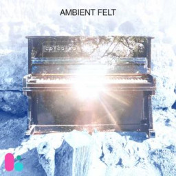 Ambient Felt