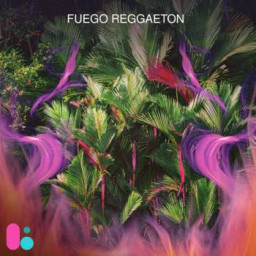 Fuego Reggaeton