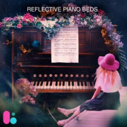 Reflective Piano Beds