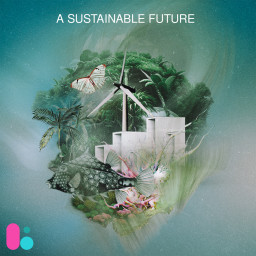 A Sustainable Future