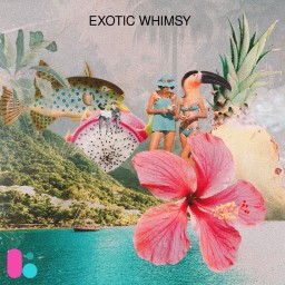 Exotic Whimsy