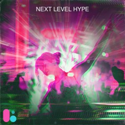 Next Level Hype