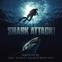 Shark Attack!