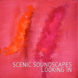 Scenic Soundscapes - Looking In