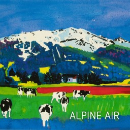 Alpine Air