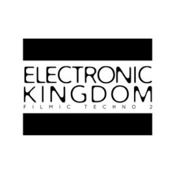 Electronic Kingdom II