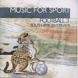 Football 3: South African Dreams