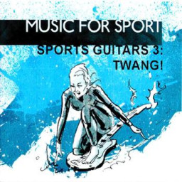 Sports Guitars 3