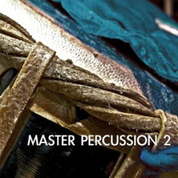 Master Percussion 2