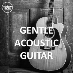 Gentle Acoustic Guitar