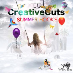 Creative Cuts Summer Hooks